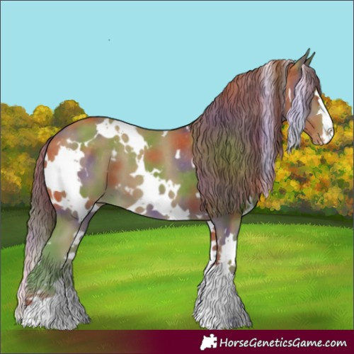 Horse Color:Nacre White Spotted Classic Cream Champagne Appaloosa 