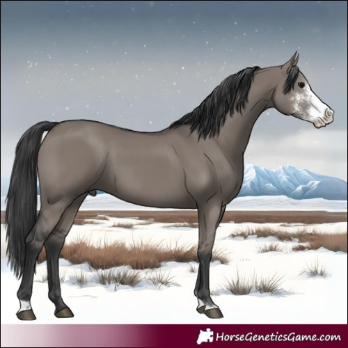 Horse Color:Grullo Sabino 