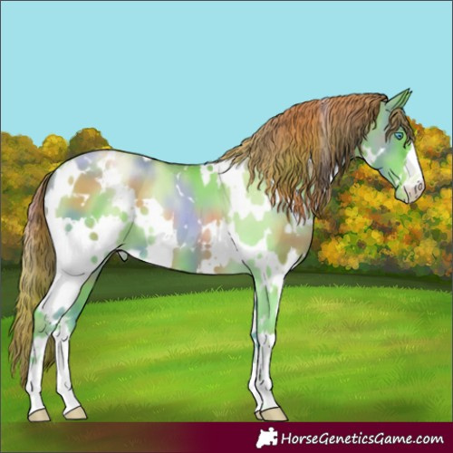 Horse Color:Nacre White Spotted Classic Cream Champagne Pearl Dun Appaloosa