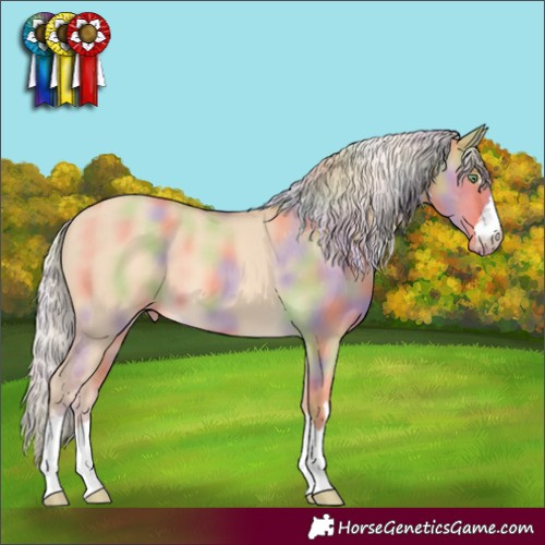 Horse Color:Nacre Gold Cream Champagne Dun Appaloosa 
