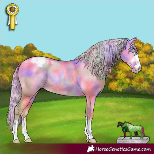 Horse Color:Nacre Palomino Pearl Dun Appaloosa 