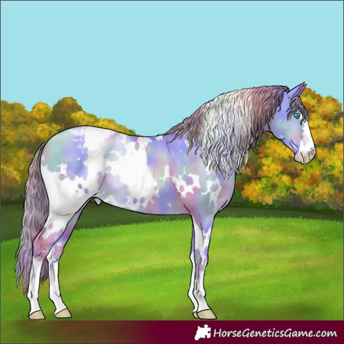 Horse Color:Nacre White Spotted Classic Cream Champagne Pearl Dun Appaloosa 