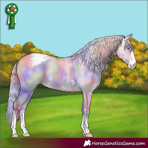 Horse Color:Nacre Gold Cream Champagne Dun Appaloosa 
