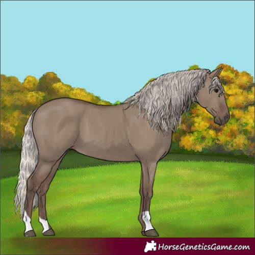 Horse Color:Silver Grullo