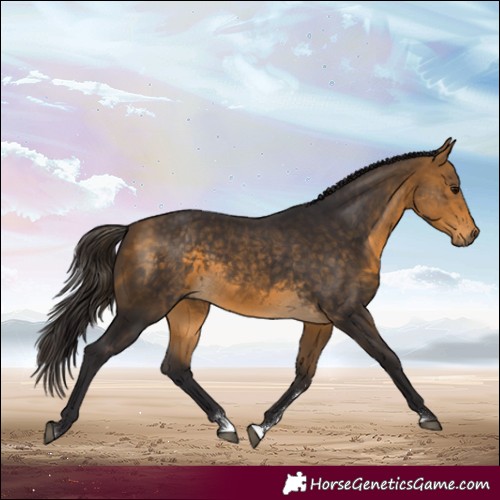Horse Color:Buckskin