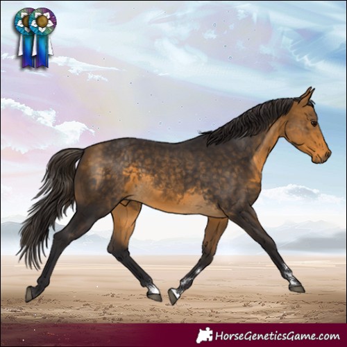 Horse Color:Buckskin