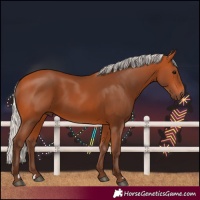 Horse Color:Silver Bay