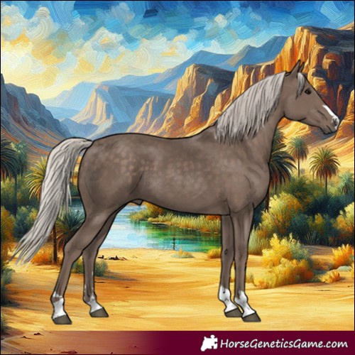 Horse Color:Silver Black