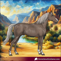 Horse Color:Silver Black