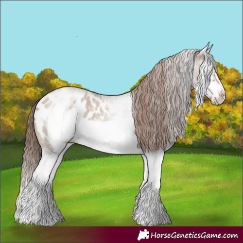 Horse Color:White Spotted Classic Champagne Roan Splash Frame Appaloosa 