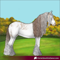 Horse Color:White Spotted Classic Champagne Roan Splash Frame Blanket 