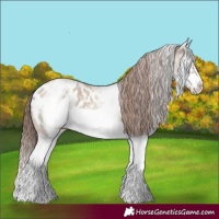 Horse Color:White Spotted Classic Champagne Roan Splash Frame Blanket 
