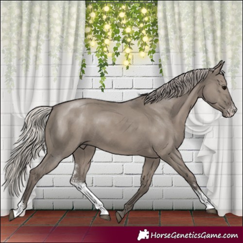 Horse Color:Silver Grullo Sabino 