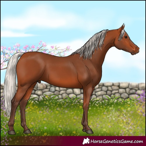 Horse Color:Silver Bay