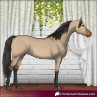 Horse Color:Bay Dun