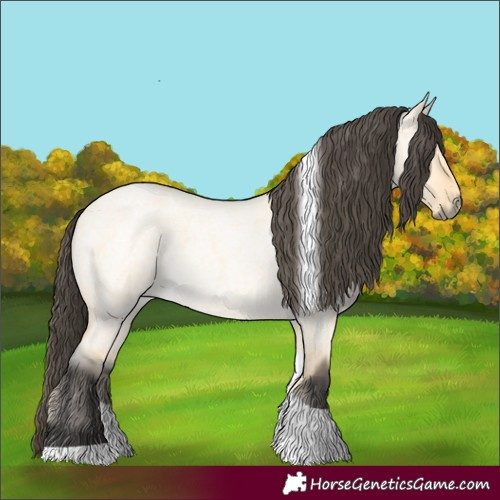 Horse Color:Buckskin Roan Dun Tobiano 