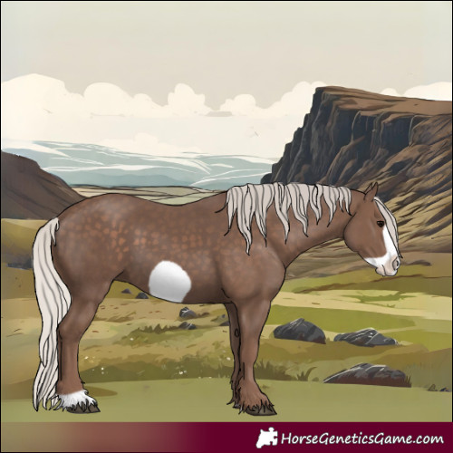 Horse Color:Silver Black Frame