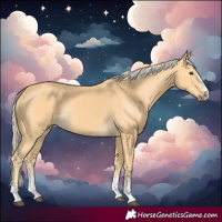 Horse Color:Palomino 