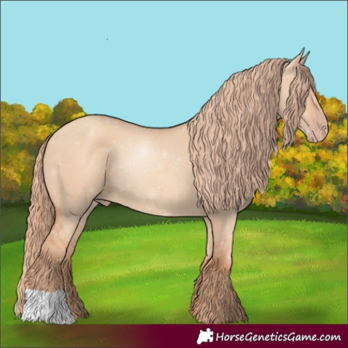 Horse Color:Gold Champagne Dun 