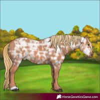 Horse Color:Chestnut Ice 