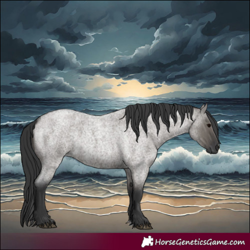 Horse Color:Grullo Roan Rabicano