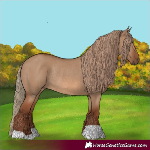 Horse Color:Red Dun Rabicano 