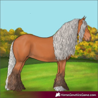 Horse Color:Silver Bay