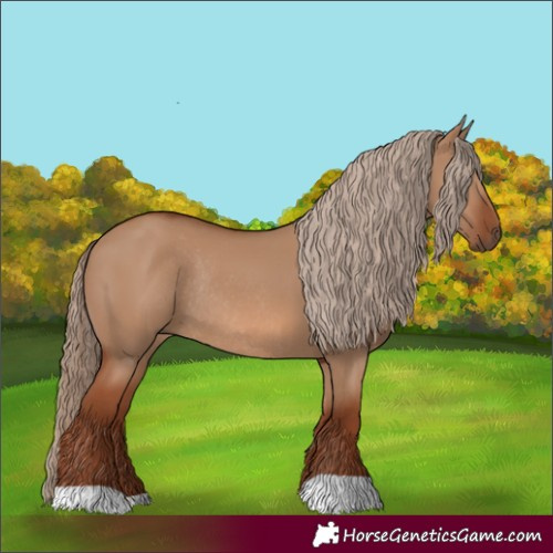 Horse Color:Red Dun Rabicano 