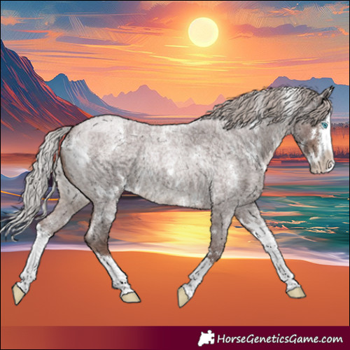 Horse Color:White Spotted Chocolate Silver Blue Roan Splash