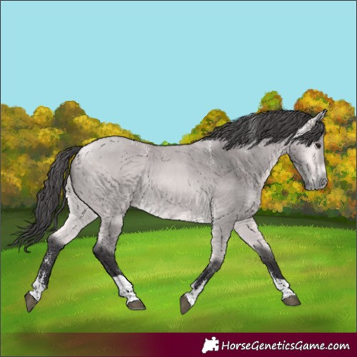 Horse Color:Powder White Platinum Buckskin Tobiano 