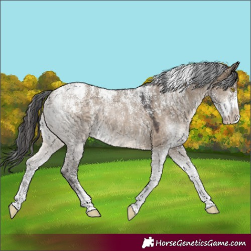 Horse Color:Powder White Brown Dun Varnish Rabicano