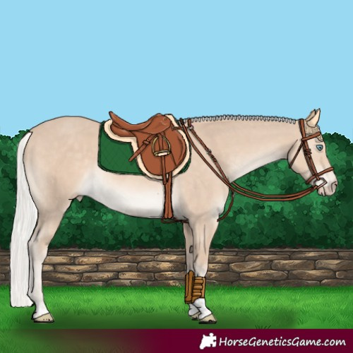 Horse Color:Silver Smoky Creme Sabino Rabicano 