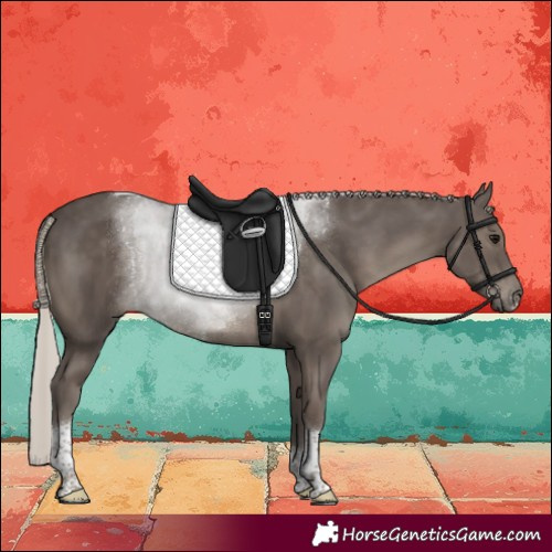 Horse Color:Silver Black Sabino Tobiano