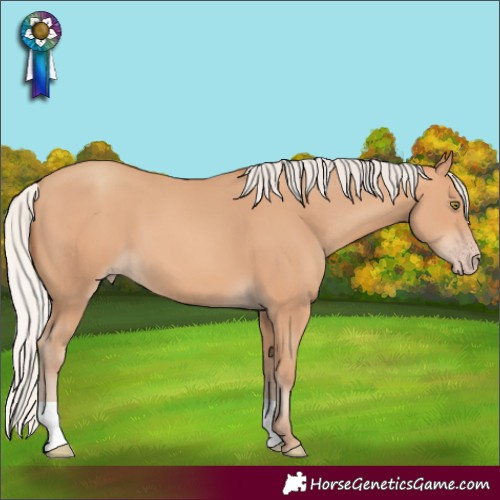 Horse Color:Silver Amber Champagne 