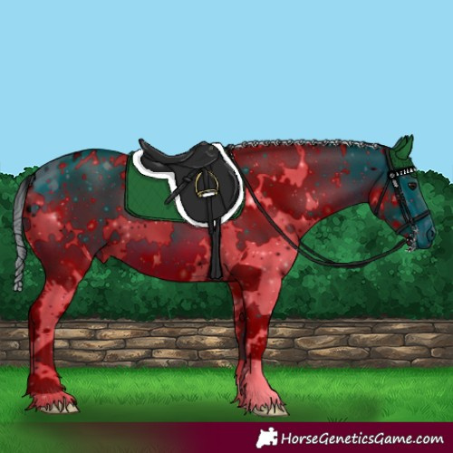 Horse Color:ERROR: UNKNOWN ANOMALY