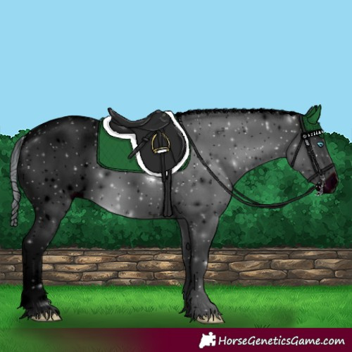 Horse Color:ERROR: UNKNOWN ANOMALY