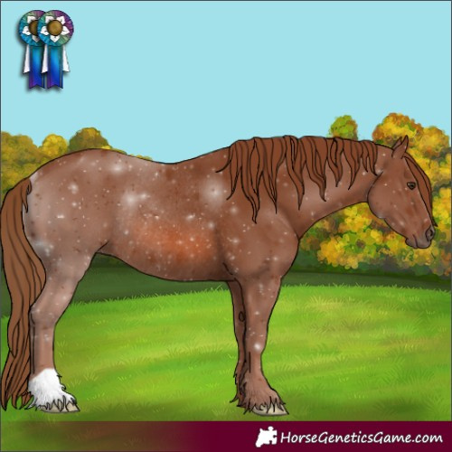 Horse Color:Chestnut Rabicano