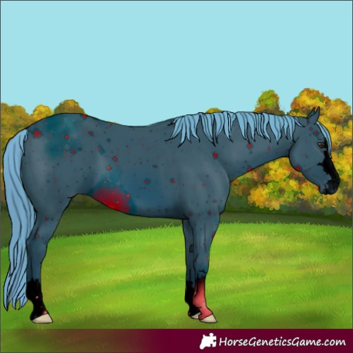 Horse Color:ERROR: UNKNOWN ANOMALY