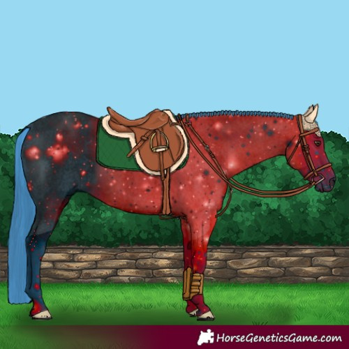 Horse Color:ERROR: UNKNOWN ANOMALY