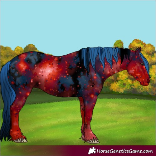 Horse Color:ERROR: UNKNOWN ANOMALY