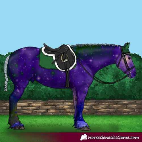 Horse Color:ERROR: UNKNOWN ANOMALY