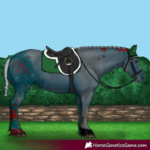 Horse Color:ERROR: UNKNOWN ANOMALY