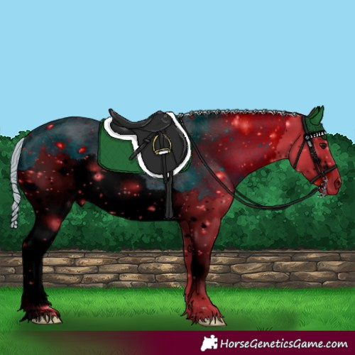 Horse Color:ERROR: UNKNOWN ANOMALY