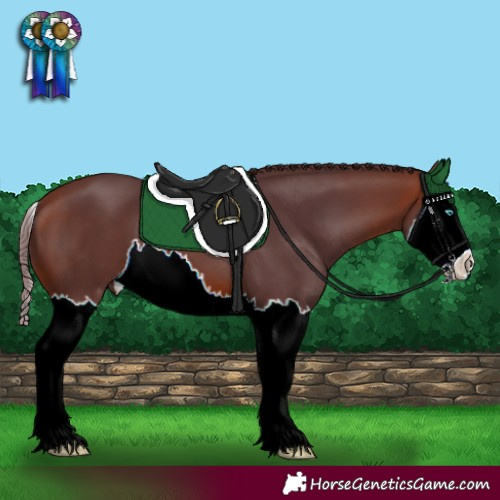 Horse Color:Chocolate Bay Splash 