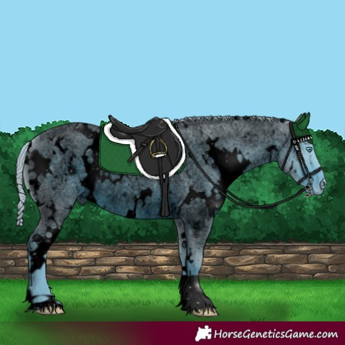 Horse Color:ERROR: UNKNOWN ANOMALY