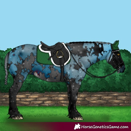 Horse Color:ERROR: UNKNOWN ANOMALY