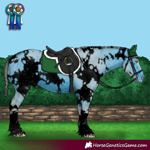 Horse Color:ERROR: UNKNOWN ANOMALY