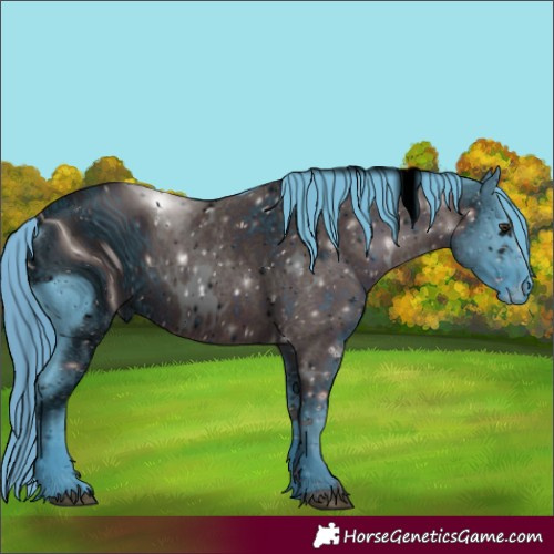 Horse Color:ERROR: UNKNOWN ANOMALY
