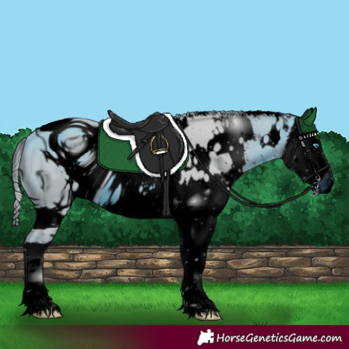 Horse Color:ERROR: UNKNOWN ANOMALY