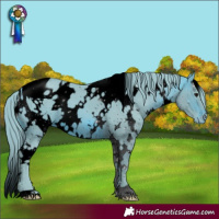 Horse Color:ERROR: UNKNOWN ANOMALY